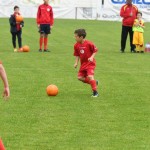 Krasov mednarodni turnir cicibanov in mlajših cicibanov