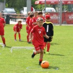 Krasov mednarodni turnir cicibanov in mlajših cicibanov