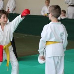 Shinkai club - Mednarodni pokal Zgonik