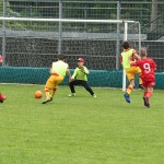 Krasov mednarodni turnir cicibanov in mlajših cicibanov