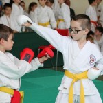 Shinkai club - Mednarodni pokal Zgonik