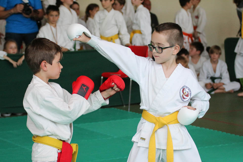 Zgonik 28-05-2017 - Karate - Shinkai club - Mednarodni pokal Zgonik