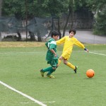 Krasov mednarodni turnir cicibanov in mlajših cicibanov