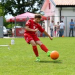 Krasov mednarodni turnir cicibanov in mlajših cicibanov