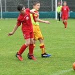 Krasov mednarodni turnir cicibanov in mlajših cicibanov