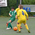 Krasov mednarodni turnir cicibanov in mlajših cicibanov