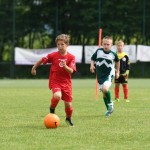 Krasov mednarodni turnir cicibanov in mlajših cicibanov