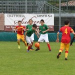 Krasov mednarodni turnir cicibanov in mlajših cicibanov