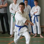 Shinkai club - Mednarodni pokal Zgonik