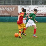 Krasov mednarodni turnir cicibanov in mlajših cicibanov