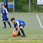 Krasov mednarodni turnir cicibanov in mlajših cicibanov