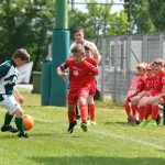 Krasov mednarodni turnir cicibanov in mlajših cicibanov