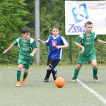 Krasov mednarodni turnir cicibanov in mlajših cicibanov