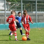 Krasov mednarodni turnir cicibanov in mlajših cicibanov