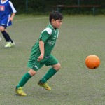 Krasov mednarodni turnir cicibanov in mlajših cicibanov