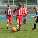 Krasov mednarodni turnir cicibanov in mlajših cicibanov