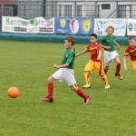 Krasov mednarodni turnir cicibanov in mlajših cicibanov