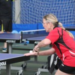 Primorska liga - sklepni turnir