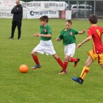 Krasov mednarodni turnir cicibanov in mlajših cicibanov