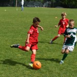 Krasov mednarodni turnir cicibanov in mlajših cicibanov