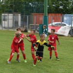 Krasov mednarodni turnir cicibanov in mlajših cicibanov