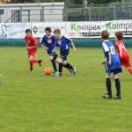 Krasov mednarodni turnir cicibanov in mlajših cicibanov