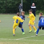 Krasov mednarodni turnir cicibanov in mlajših cicibanov