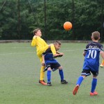 Krasov mednarodni turnir cicibanov in mlajših cicibanov