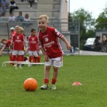 Krasov mednarodni turnir cicibanov in mlajših cicibanov