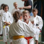 Shinkai club - Mednarodni pokal Zgonik