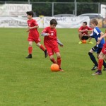 Krasov mednarodni turnir cicibanov in mlajših cicibanov