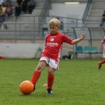 Krasov mednarodni turnir cicibanov in mlajših cicibanov
