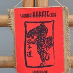 Shinkai club - Mednarodni pokal Zgonik