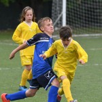 Krasov mednarodni turnir cicibanov in mlajših cicibanov