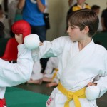 Shinkai club - Mednarodni pokal Zgonik