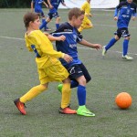 Krasov mednarodni turnir cicibanov in mlajših cicibanov