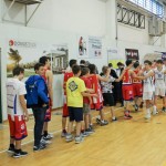 Dom Mark - Dezelni prvaki