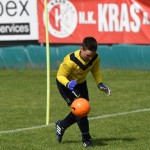 Krasov mednarodni turnir cicibanov in mlajših cicibanov