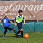 Krasov mednarodni turnir cicibanov in mlajših cicibanov