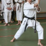 Shinkai club - Mednarodni pokal Zgonik