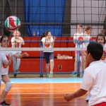Volley Mania