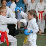 Shinkai club - Mednarodni pokal Zgonik