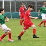 Krasov mednarodni turnir cicibanov in mlajših cicibanov