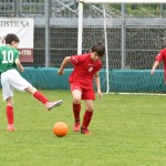 Krasov mednarodni turnir cicibanov in mlajših cicibanov