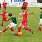 Krasov mednarodni turnir cicibanov in mlajših cicibanov