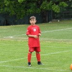 Krasov mednarodni turnir cicibanov in mlajših cicibanov