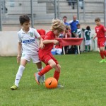 Krasov mednarodni turnir cicibanov in mlajših cicibanov