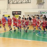 Dom Mark - Dezelni prvaki