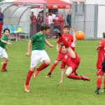 Krasov mednarodni turnir cicibanov in mlajših cicibanov