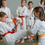 Shinkai club - Mednarodni pokal Zgonik